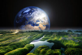 Earth-Hour-Disconnect-to-Reconnect-272x182