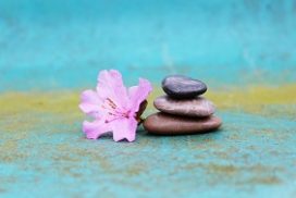 zen-and-art-of-love-272x182